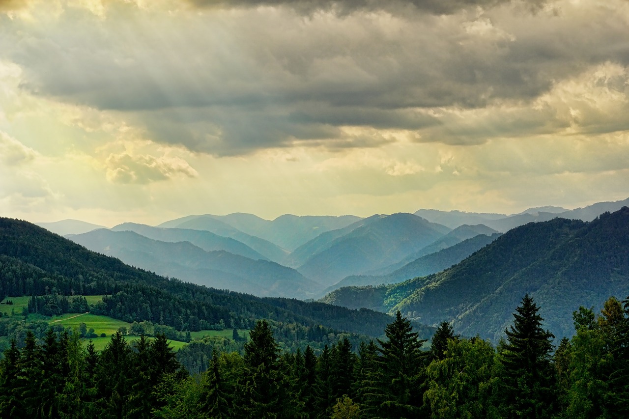 How Forest Gardening Can Help Combat Climate Change